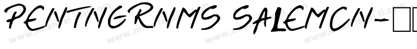 PENTNGRNMS SALEMCN字体转换
